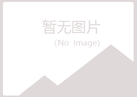 铜川字迹计算机有限公司